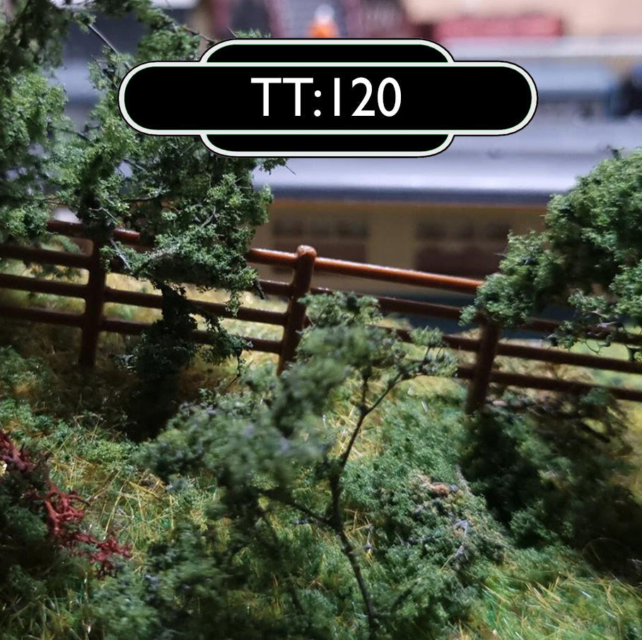 TT:120 (1/120)
